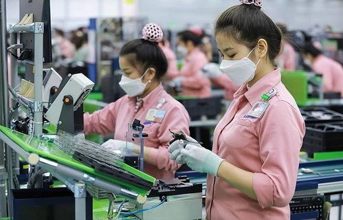 訂單驟減、裁員風暴與轉型陣痛 越南“世界工廠”夢的軟件業挑戰