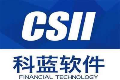 電子政務龍頭股排行榜 頂點軟件領跑，雄帝科技位列第八